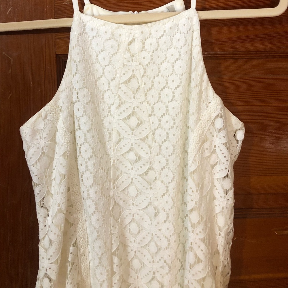Soft fitted lace detailed dress